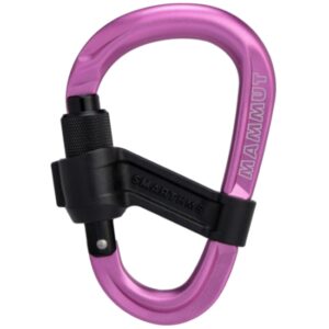 Smart HMS 2.0 Screwgate Carabiner